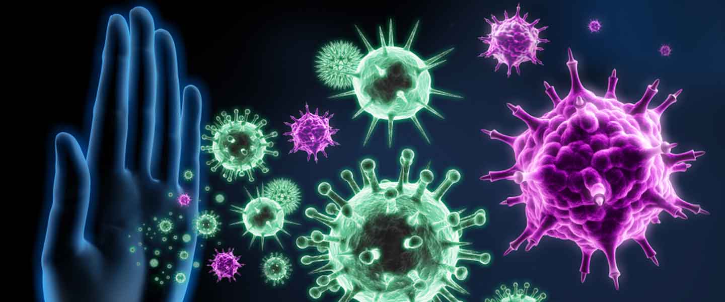 Bağışıklık Sistemimizi Güçlendiren 8 Besin